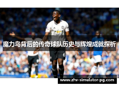 魔力鸟背后的传奇球队历史与辉煌成就探析