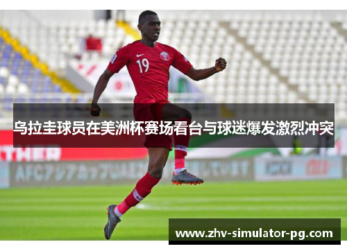 乌拉圭球员在美洲杯赛场看台与球迷爆发激烈冲突